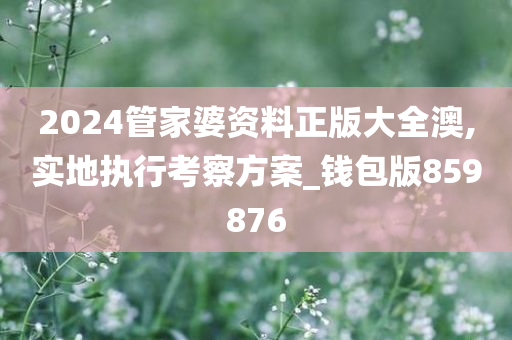 2024管家婆资料正版大全澳,实地执行考察方案_钱包版859876