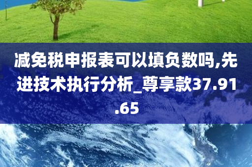 减免税申报表可以填负数吗,先进技术执行分析_尊享款37.91.65