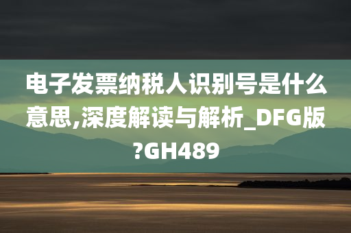 电子发票纳税人识别号是什么意思,深度解读与解析_DFG版?GH489