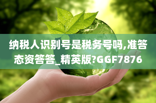 纳税人识别号是税务号吗,准答态资答答_精英版?GGF7876