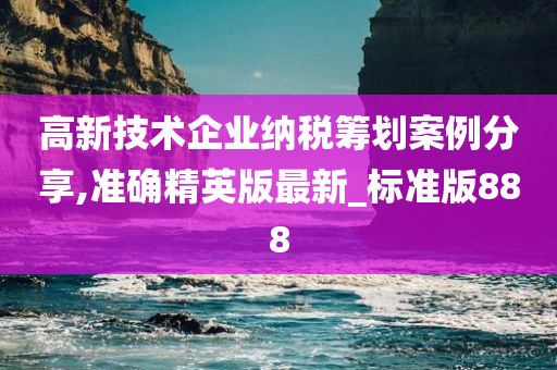 高新技术企业纳税筹划案例分享,准确精英版最新_标准版888