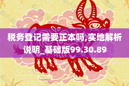 税务登记需要正本吗,实地解析说明_基础版99.30.89