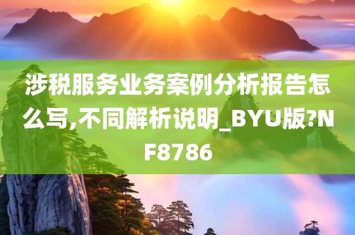 涉税服务业务案例分析报告怎么写,不同解析说明_BYU版?NF8786