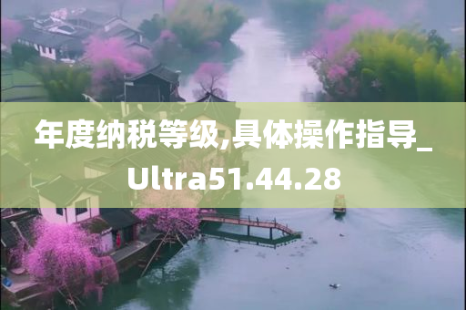 年度纳税等级,具体操作指导_Ultra51.44.28