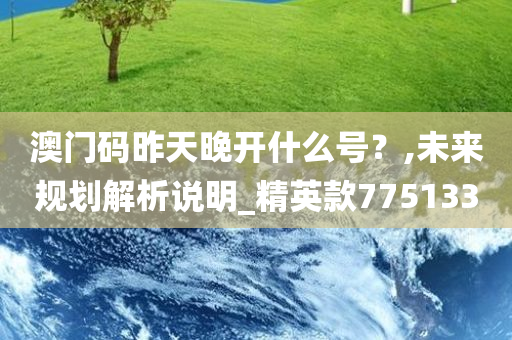 澳门码昨天晚开什么号？,未来规划解析说明_精英款775133