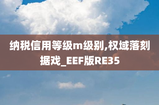 纳税信用等级m级别,权域落刻据戏_EEF版RE35