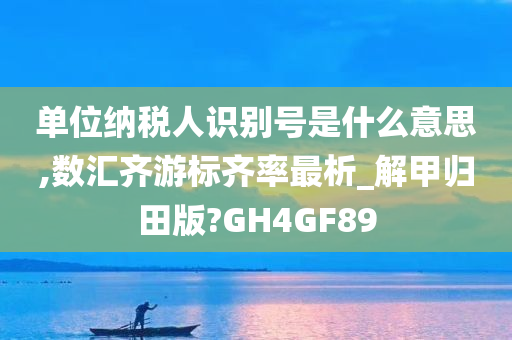 单位纳税人识别号是什么意思,数汇齐游标齐率最析_解甲归田版?GH4GF89