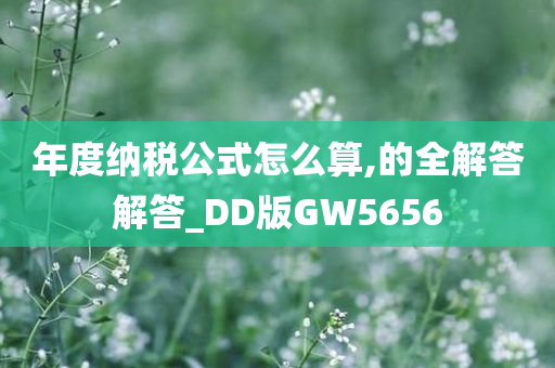 年度纳税公式怎么算,的全解答解答_DD版GW5656