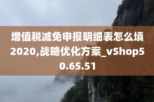 增值税减免申报明细表怎么填2020,战略优化方案_vShop50.65.51