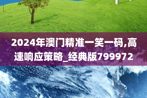 2024年澳门精准一笑一码,高速响应策略_经典版799972