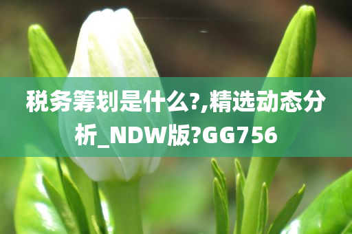 税务筹划是什么?,精选动态分析_NDW版?GG756