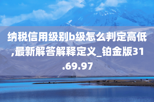 纳税信用级别b级怎么判定高低,最新解答解释定义_铂金版31.69.97