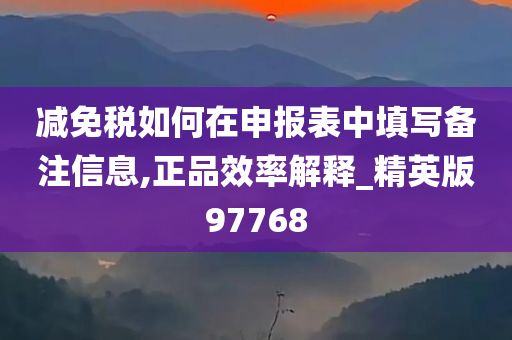 减免税如何在申报表中填写备注信息,正品效率解释_精英版97768