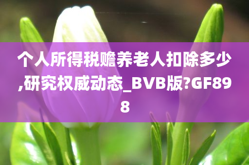 个人所得税赡养老人扣除多少,研究权威动态_BVB版?GF898