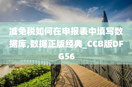 减免税如何在申报表中填写数据库,数据正版经典_CCB版DFG56