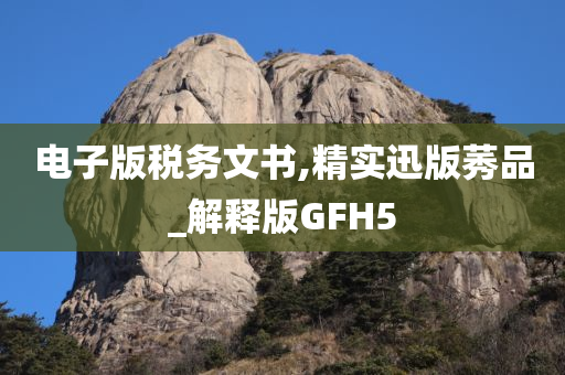 电子版税务文书,精实迅版莠品_解释版GFH5