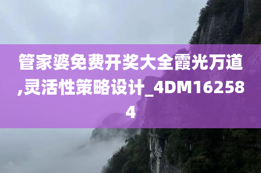 管家婆免费开奖大全霞光万道,灵活性策略设计_4DM162584