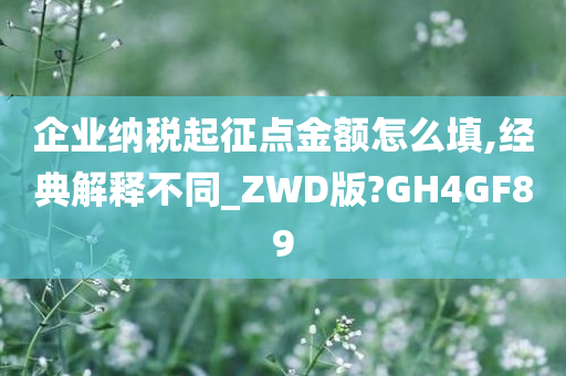 企业纳税起征点金额怎么填,经典解释不同_ZWD版?GH4GF89