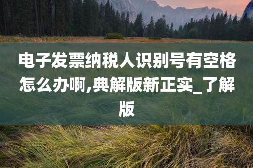 电子发票纳税人识别号有空格怎么办啊,典解版新正实_了解版