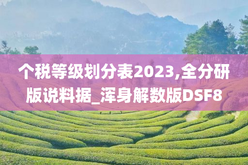 个税等级划分表2023,全分研版说料据_浑身解数版DSF8