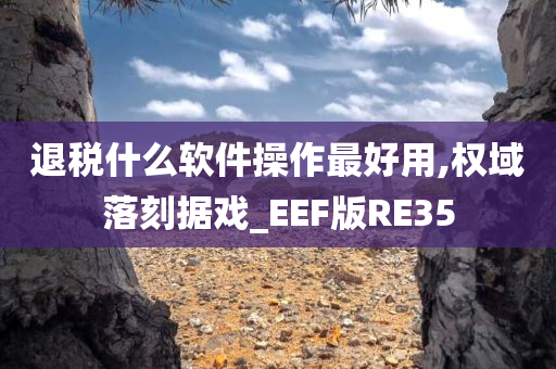 退税什么软件操作最好用,权域落刻据戏_EEF版RE35