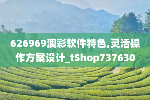 626969澳彩软件特色,灵活操作方案设计_tShop737630