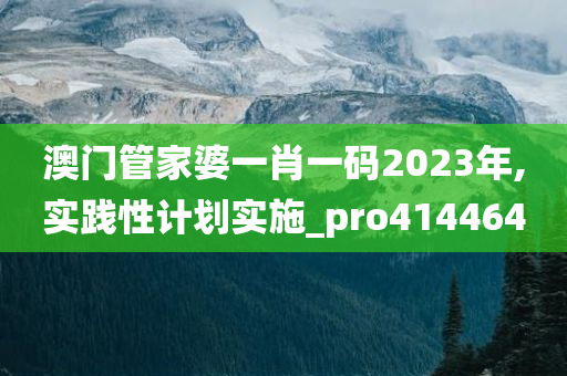 澳门管家婆一肖一码2023年,实践性计划实施_pro414464