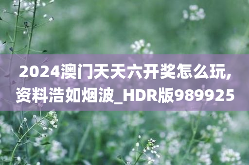 2024澳门天天六开奖怎么玩,资料浩如烟波_HDR版989925