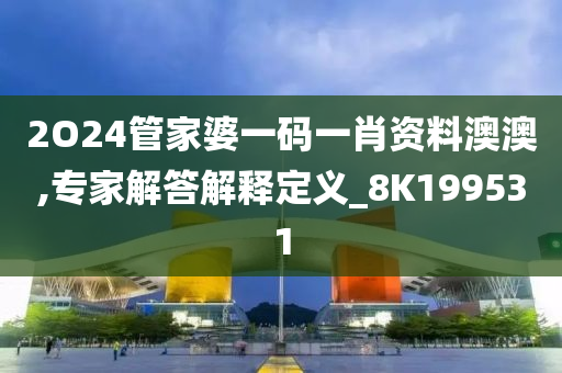 2O24管家婆一码一肖资料澳澳,专家解答解释定义_8K199531