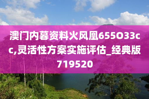 澳门内暮资料火风凰655O33cc,灵活性方案实施评估_经典版719520