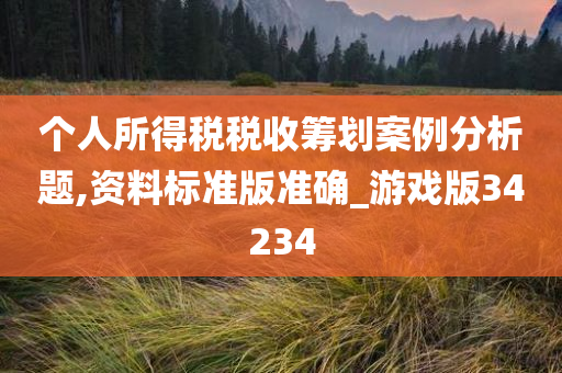 个人所得税税收筹划案例分析题,资料标准版准确_游戏版34234