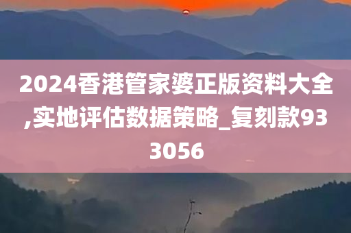 2024香港管家婆正版资料大全,实地评估数据策略_复刻款933056