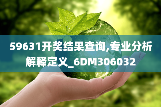 59631开奖结果查询,专业分析解释定义_6DM306032