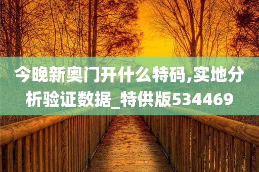 今晚新奥门开什么特码,实地分析验证数据_特供版534469