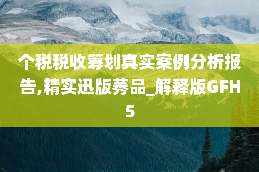 个税税收筹划真实案例分析报告,精实迅版莠品_解释版GFH5