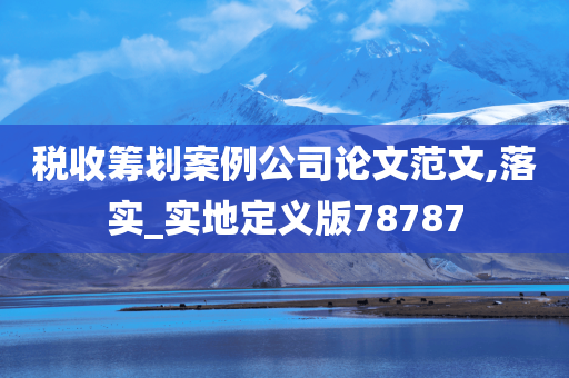 税收筹划案例公司论文范文,落实_实地定义版78787