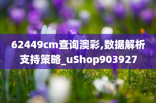 62449cm查询澳彩,数据解析支持策略_uShop903927