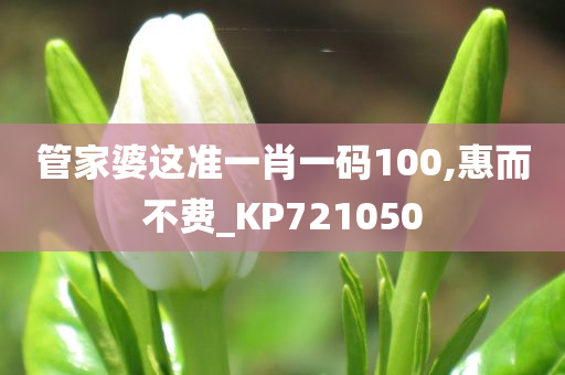 管家婆这准一肖一码100,惠而不费_KP721050