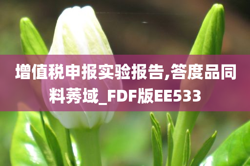 增值税申报实验报告,答度品同料莠域_FDF版EE533