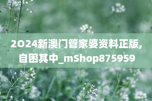 2O24新澳门管家婆资料正版,自困其中_mShop875959