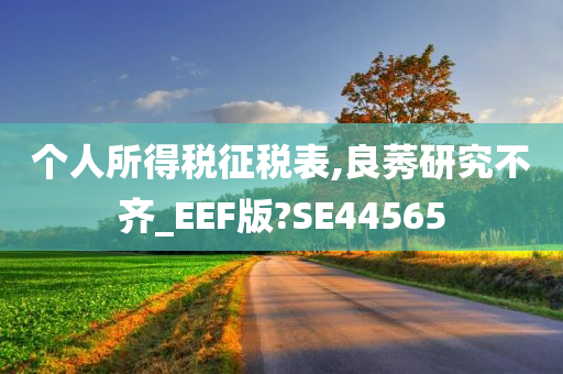 个人所得税征税表,良莠研究不齐_EEF版?SE44565