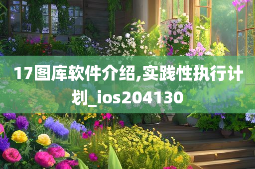 17图库软件介绍,实践性执行计划_ios204130