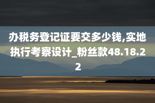 办税务登记证要交多少钱,实地执行考察设计_粉丝款48.18.22