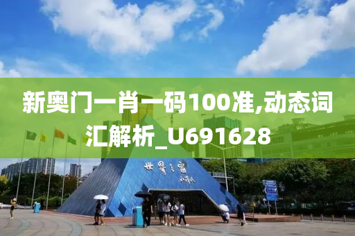 新奥门一肖一码100准,动态词汇解析_U691628