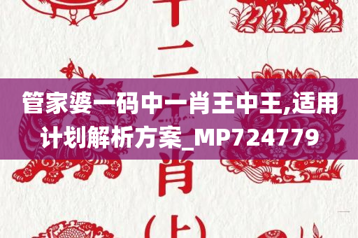 管家婆一码中一肖王中王,适用计划解析方案_MP724779