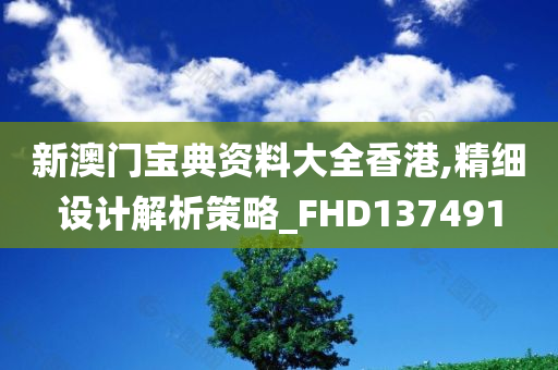 新澳门宝典资料大全香港,精细设计解析策略_FHD137491