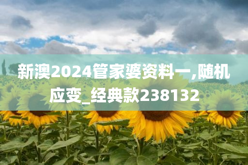 新澳2024管家婆资料一,随机应变_经典款238132