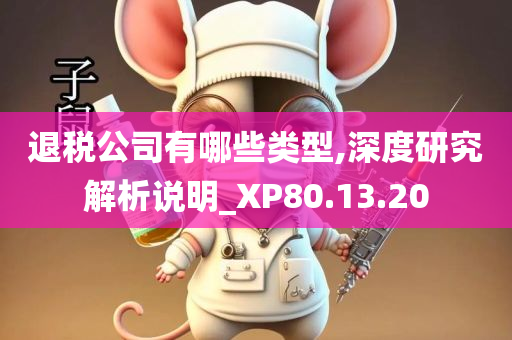 退税公司有哪些类型,深度研究解析说明_XP80.13.20