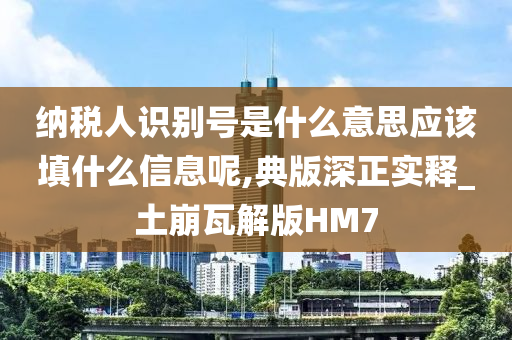 纳税人识别号是什么意思应该填什么信息呢,典版深正实释_土崩瓦解版HM7