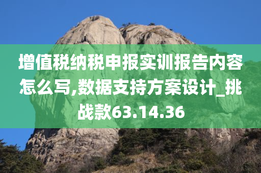 增值税纳税申报实训报告内容怎么写,数据支持方案设计_挑战款63.14.36